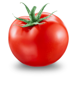 Darling tomato